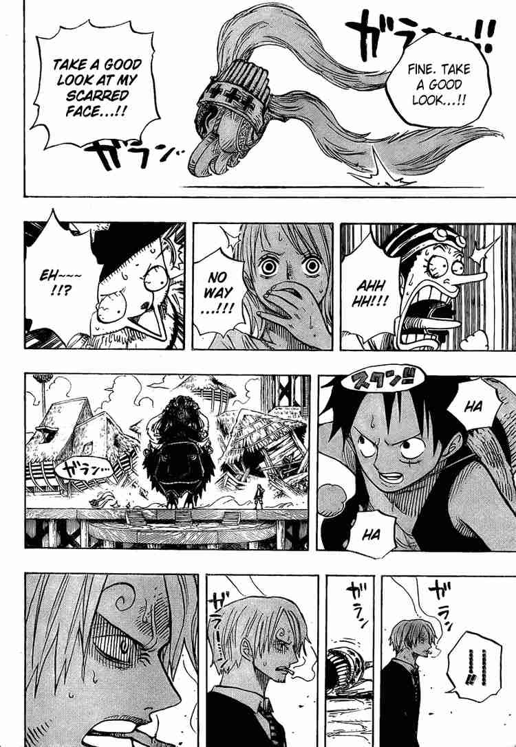 One Piece Chapter 494 16